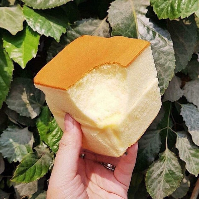 BÁNH GONGTO SHOUGONG